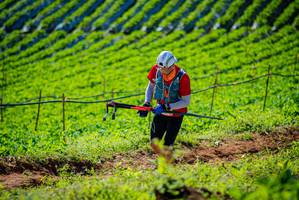 BIB: 
                            <button type="button" onclick="openModal(19161535)" class="btn btn-primary btn-sm float-right btn-popup" data-toggle="modal" data-target=".modal-high-quality">
                        <i class="fas fa-shopping-cart"></i> Add to Cart
                    </button>
                                            <button type="button" onclick="isThisMe(19161535, true)" class="btn btn-success btn-sm float-right btn-popup btn-isme hidden" data-toggle="tooltip" data-placement="bottom" title="นี่คือรูปของคุณใช่ไหม คลิกที่นี่เพื่อเอาเข้าอัลบั้ม">
                        <i class="fas fa-plus"></i> Add to album
                    </button>
                    <button type="button" onclick="isThisMe(19161535, false)" class="btn btn-warning btn-sm float-right btn-popup btn-isnotme hidden">
                        <i class="fas fa-ban"></i> Remove from album
                    </button>